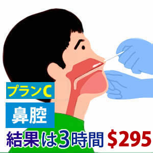 ニューヨークで緊急用のPCR検査